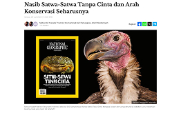Article reading layout after redesign